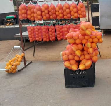 Orange 7kg bag =P50 half bag P25