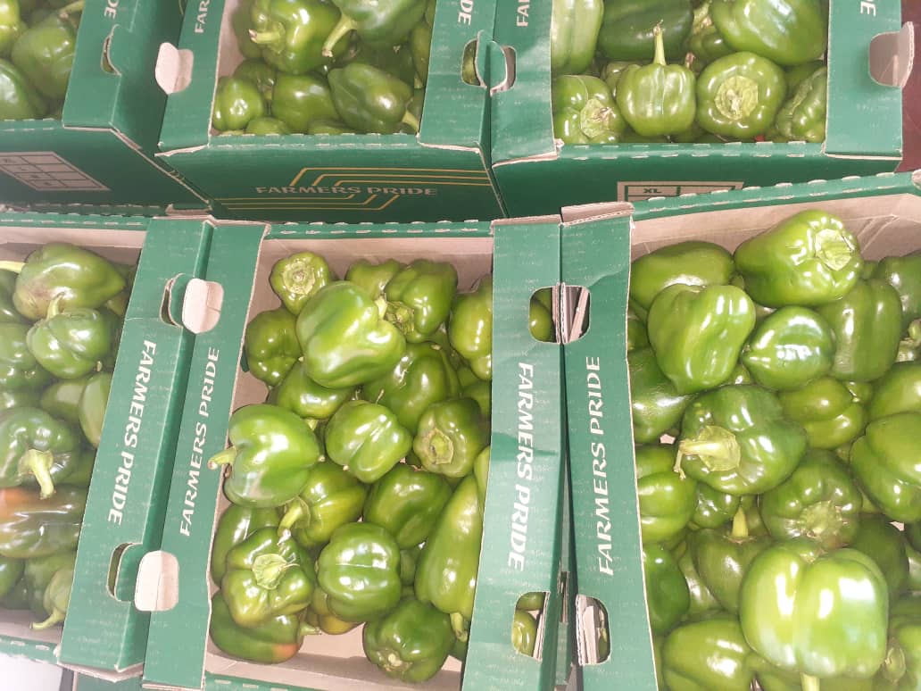 Fresh Green peppers per box