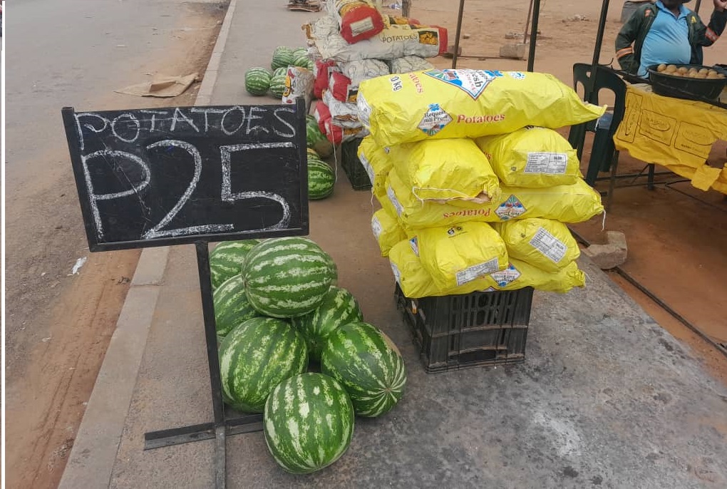 Potatoes for sale : 10kg bag Small = P25 and 10kg bag Large = P50 