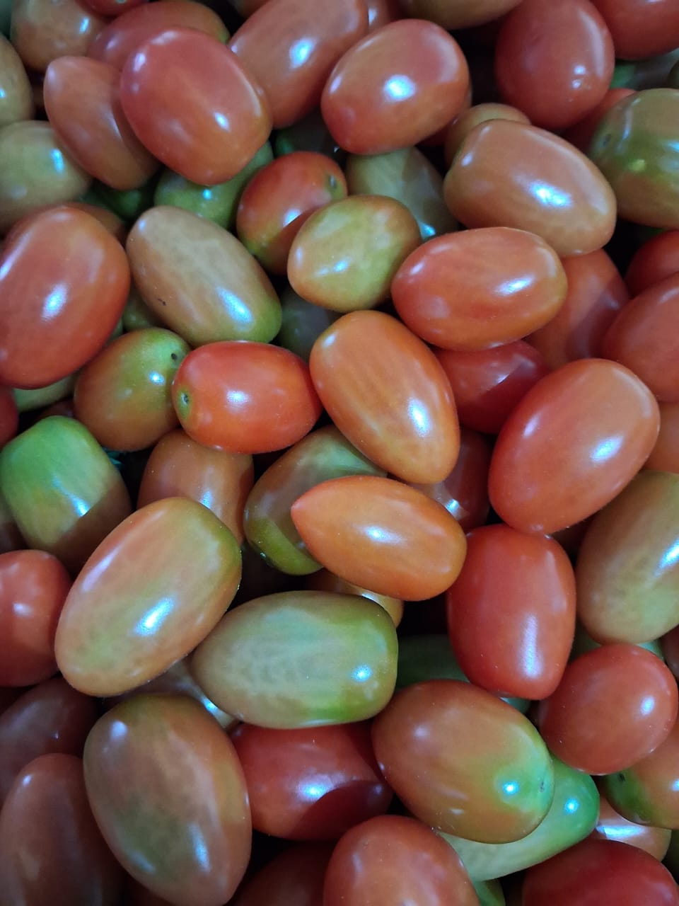 Cherry tomatoes 250g P10