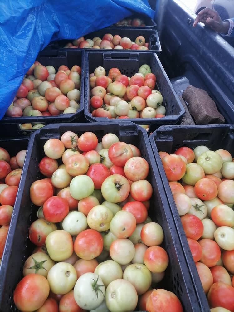 A crate of tomatoes at P300 each