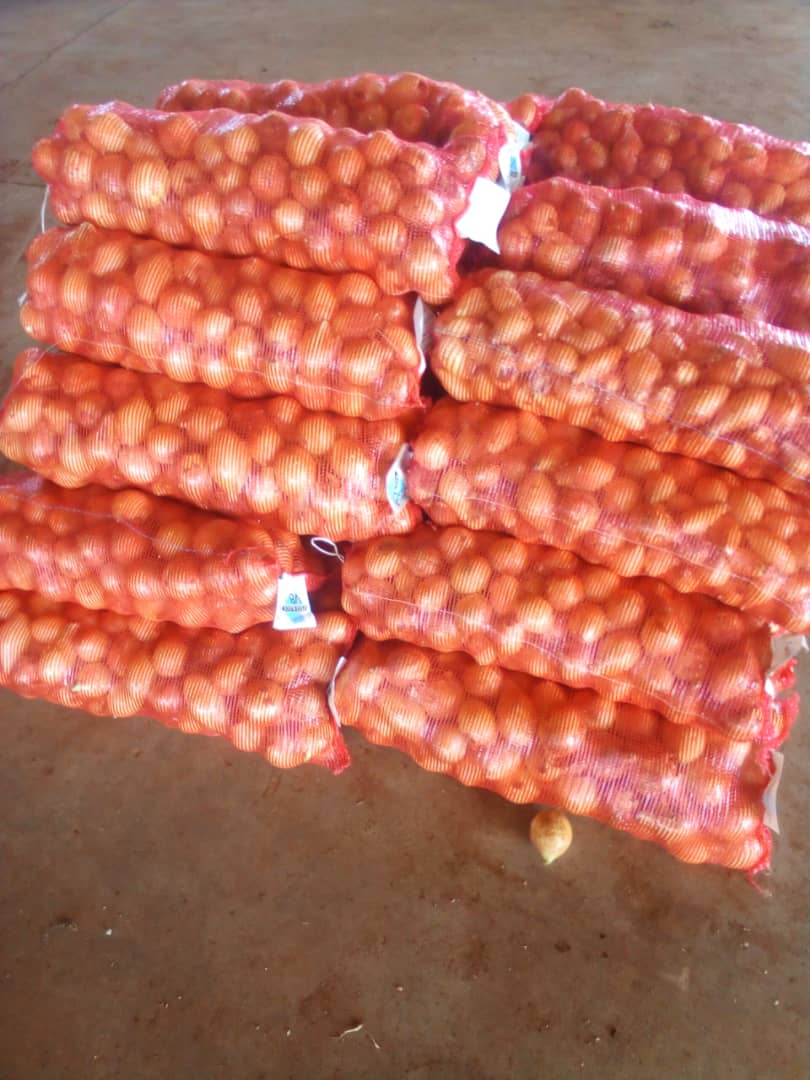 Medium 10kg white onions P145