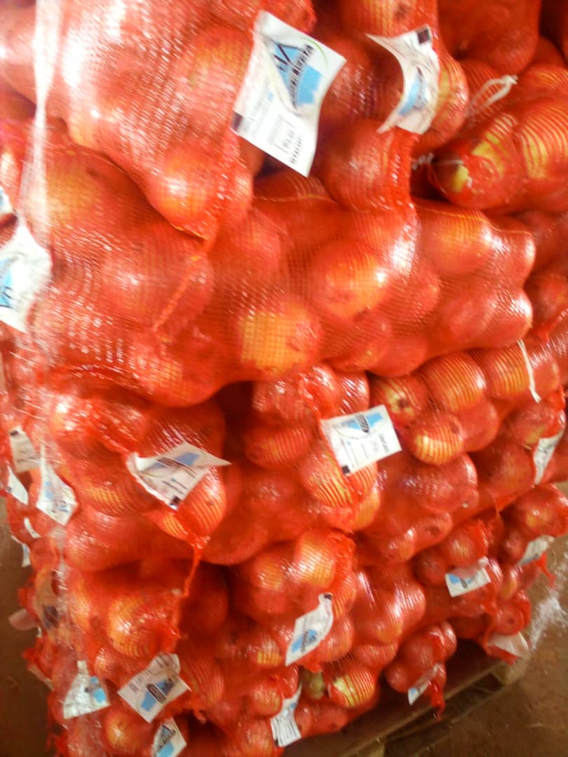 Small 10kg white onion P125