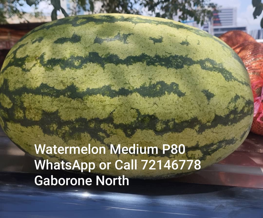 sweet watermelon @P80