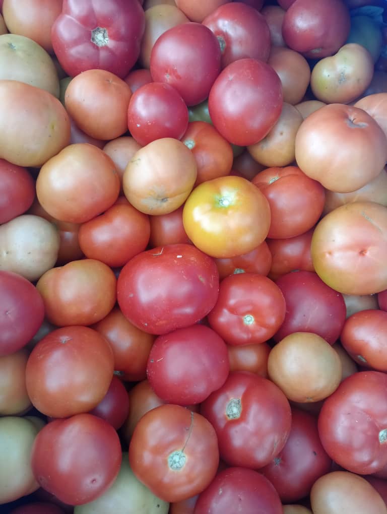 Tomatoes crate P200 for sale