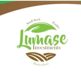 Lumase Investments (Pty) Ltd