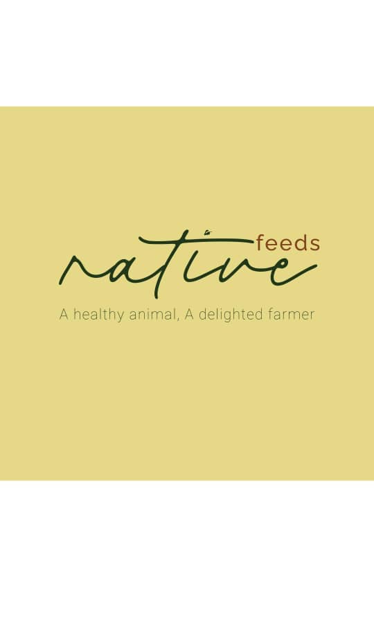 Native Feeds