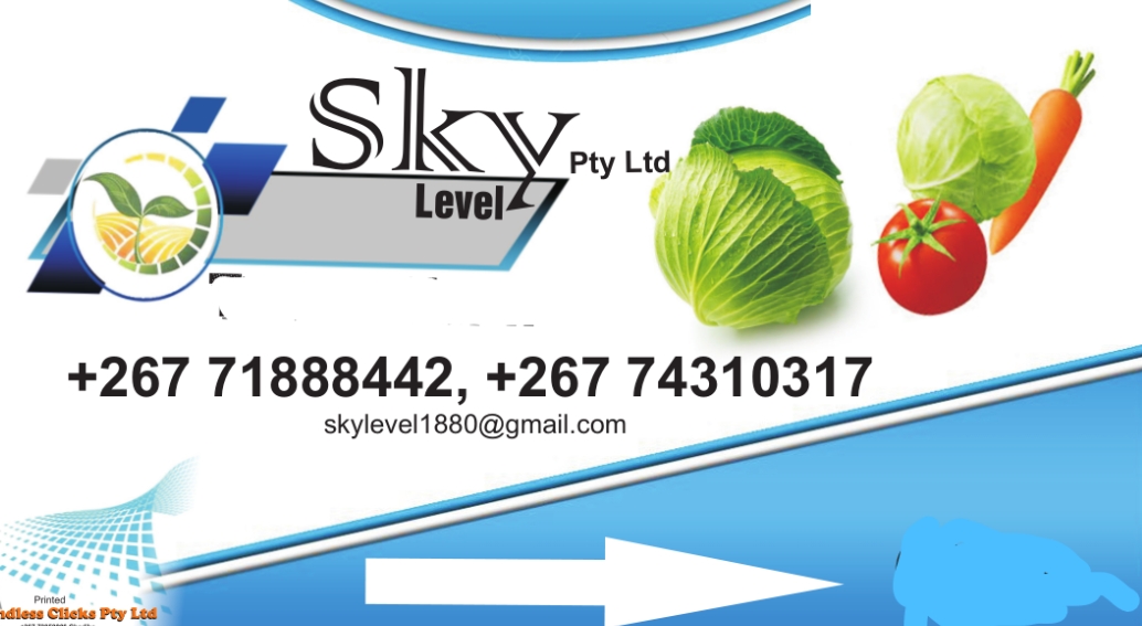 Sky Level Holdings Pty Ltd