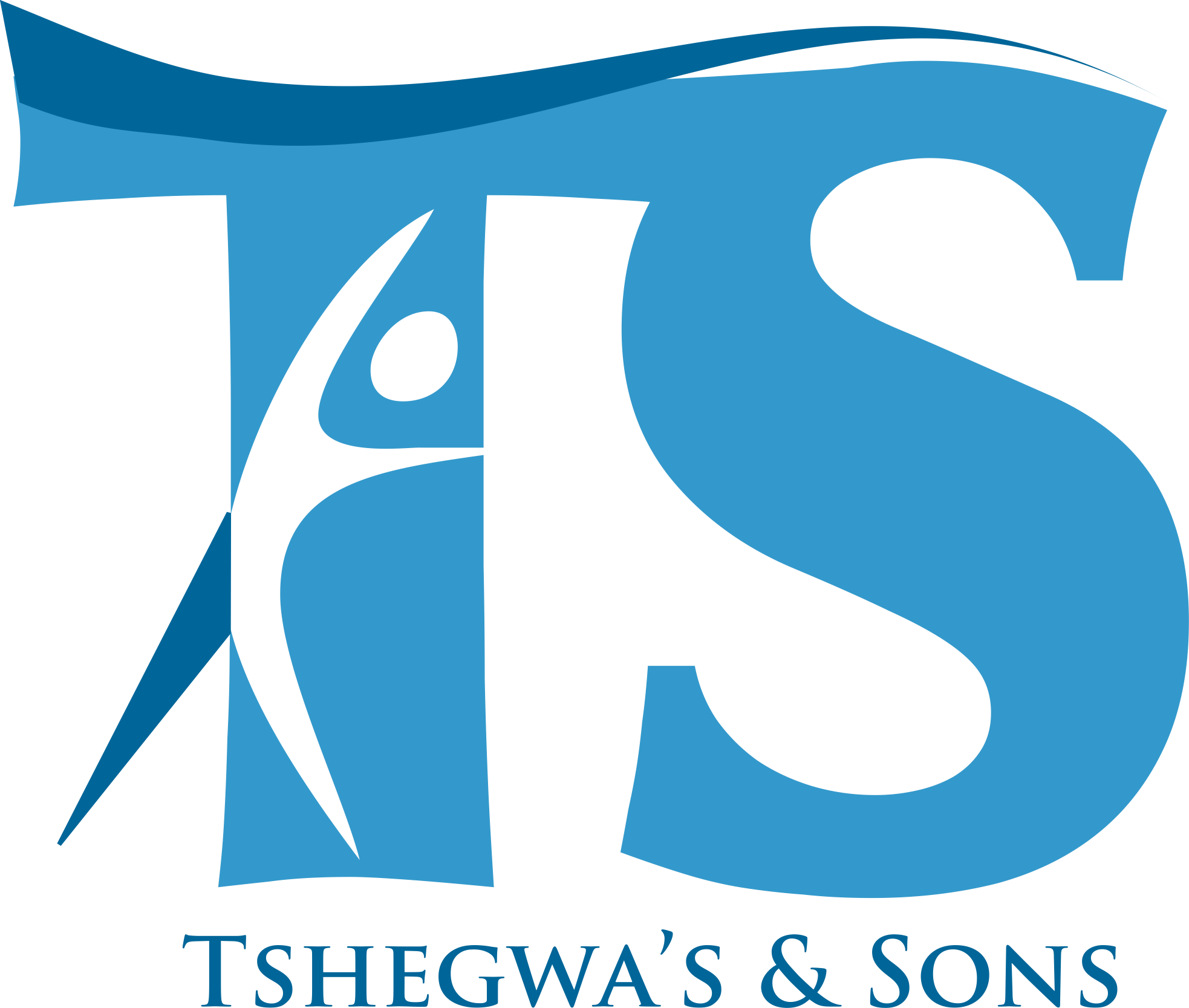 Tshegwas & Sons
