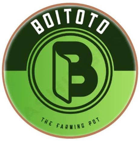 Boitoto (Pty) Ltd