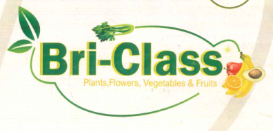 Bri-Class (Pty) Ltd