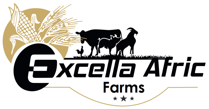 Excella Afric investment