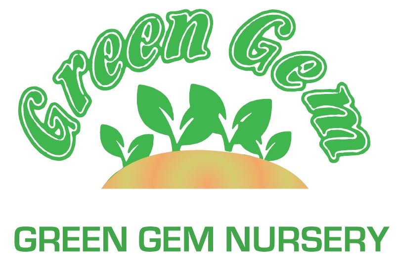 Green Gem (PTY) ltd