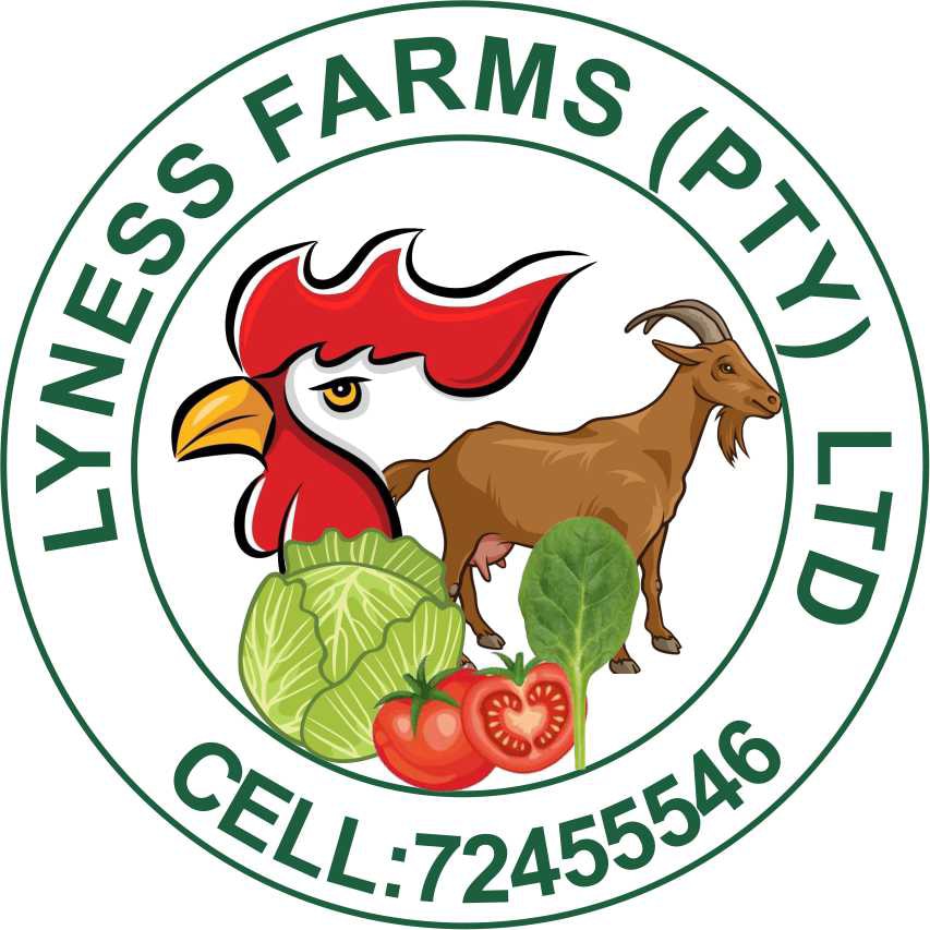 Lyness farm