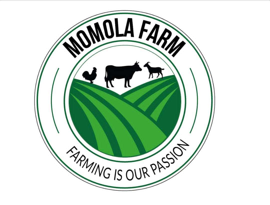 Momola Farm