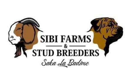 Sibi Farms