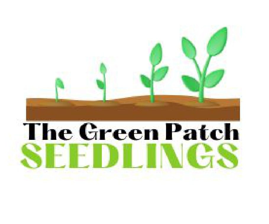 The Green Patch Seedlings