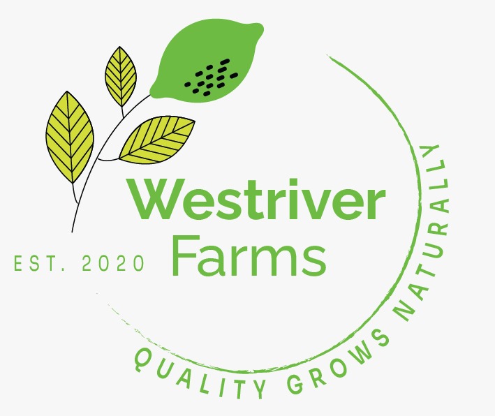 Westriver Farms (Pty) Ltd