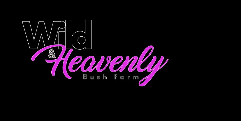Abang (Pty) Ltd T/A Wild & Heavenly Bush Farm