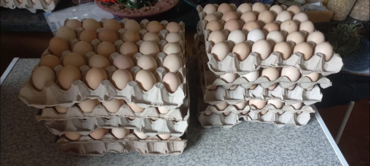 Eggs