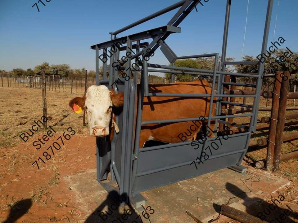 Weighing crate