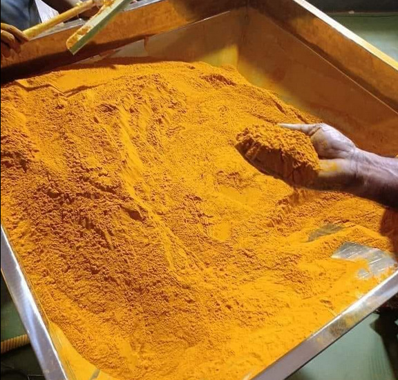 Tumeric Spice