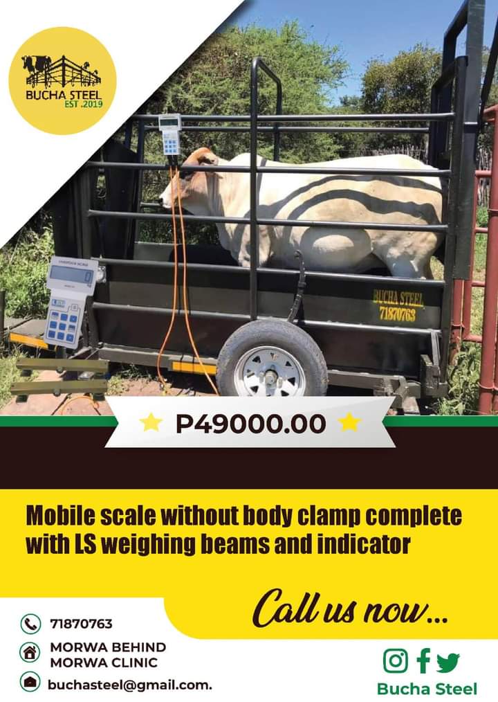 Mobile Cattle Scale