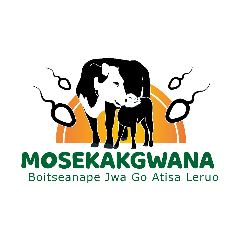 Mosekakgwana ET& AI 