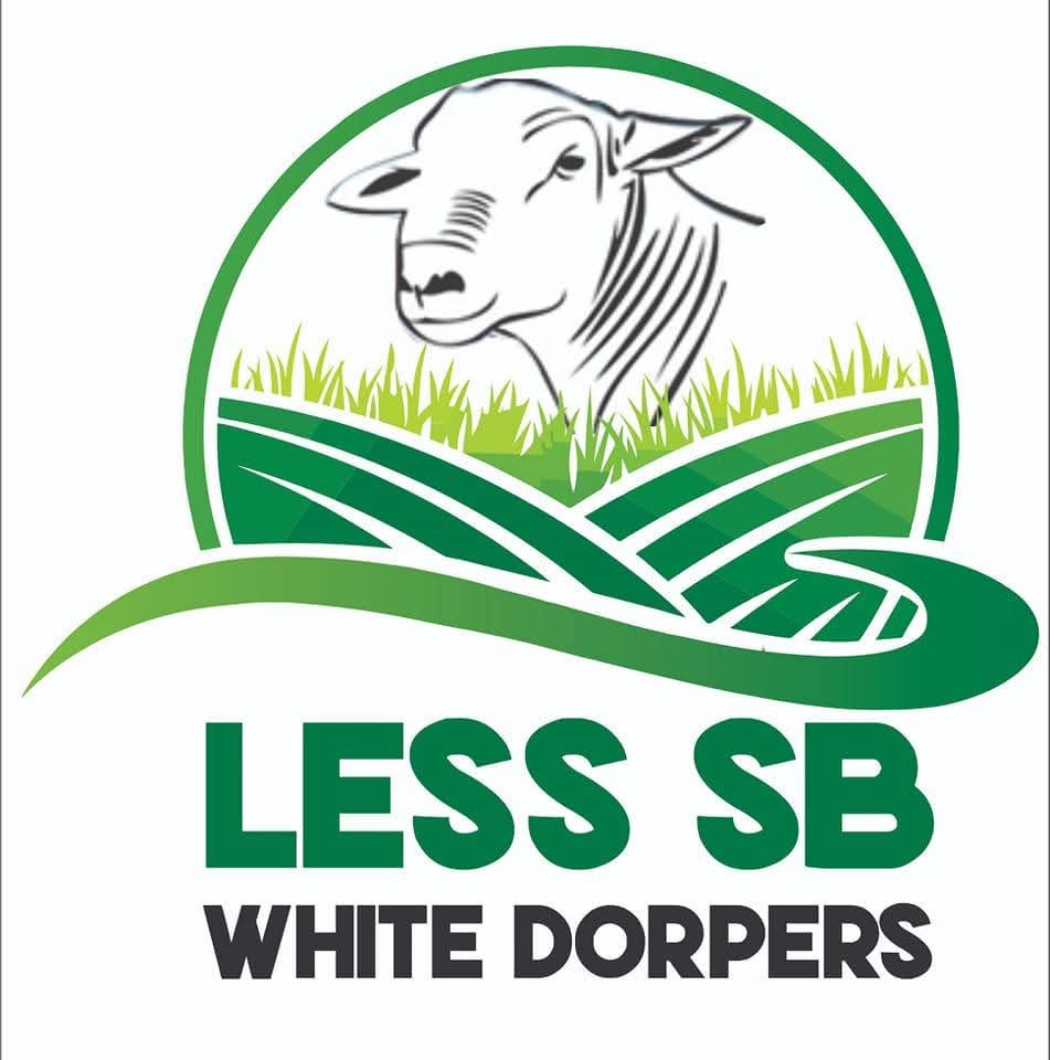 Less SB