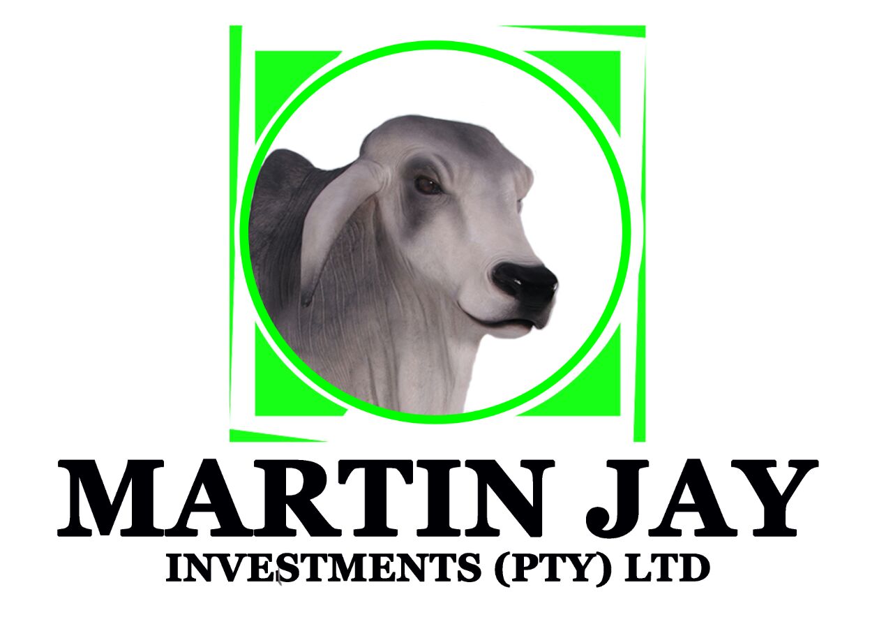 Martin Jay Investment (Pty) Ltd