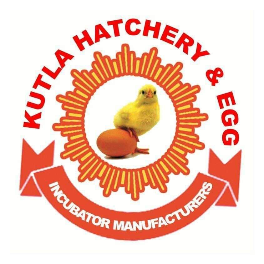 Kutla Hatchery & Eggs