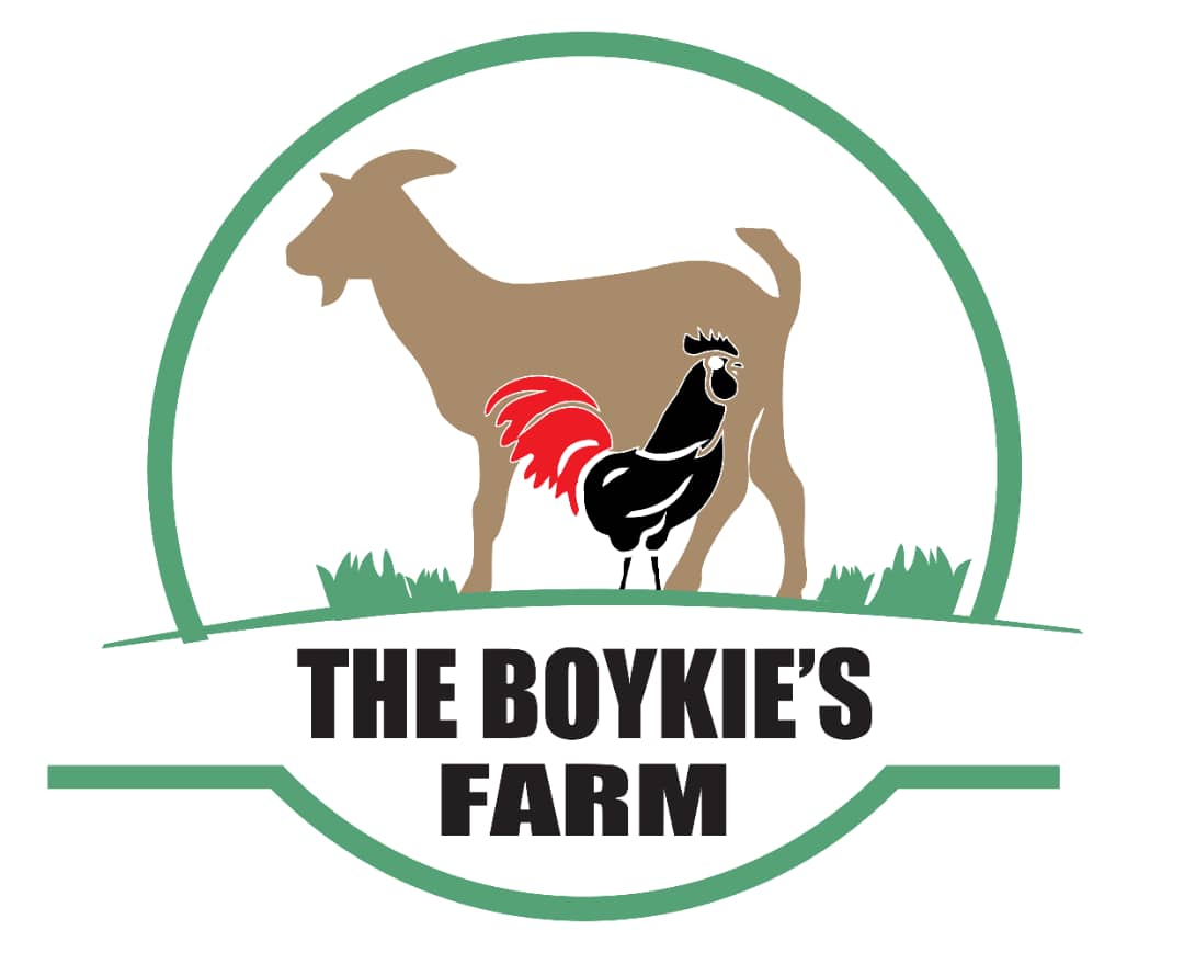 The Boykies Farm