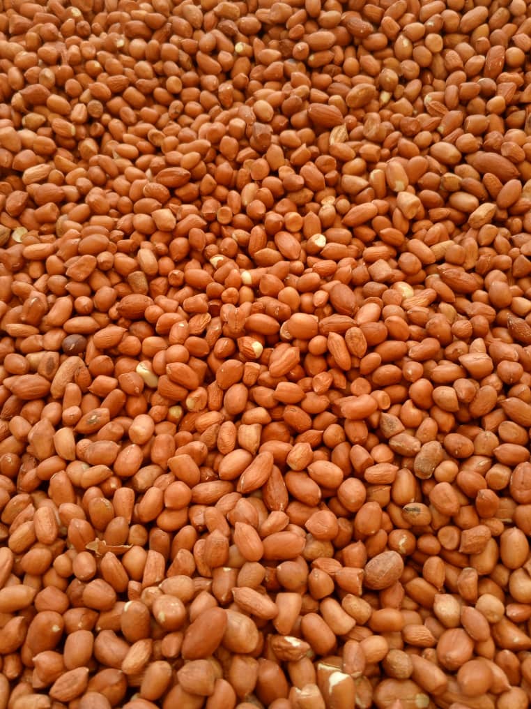 Ground Nuts