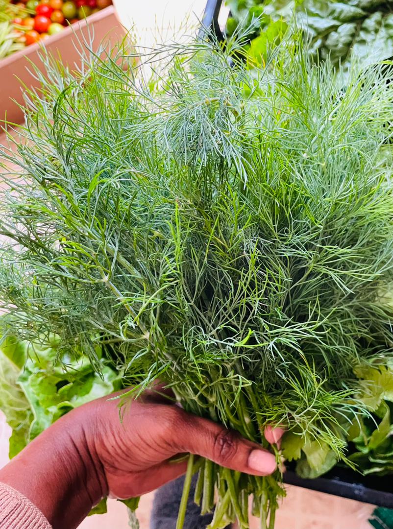 Dill P10/30g punnet