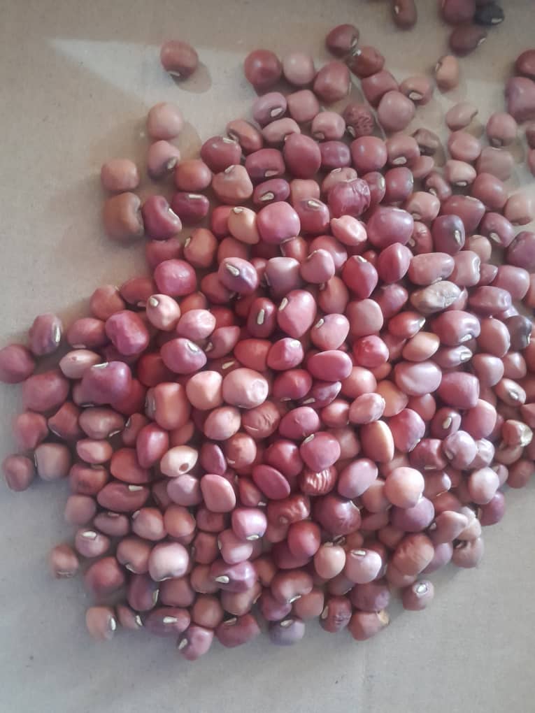 Tswana Beans