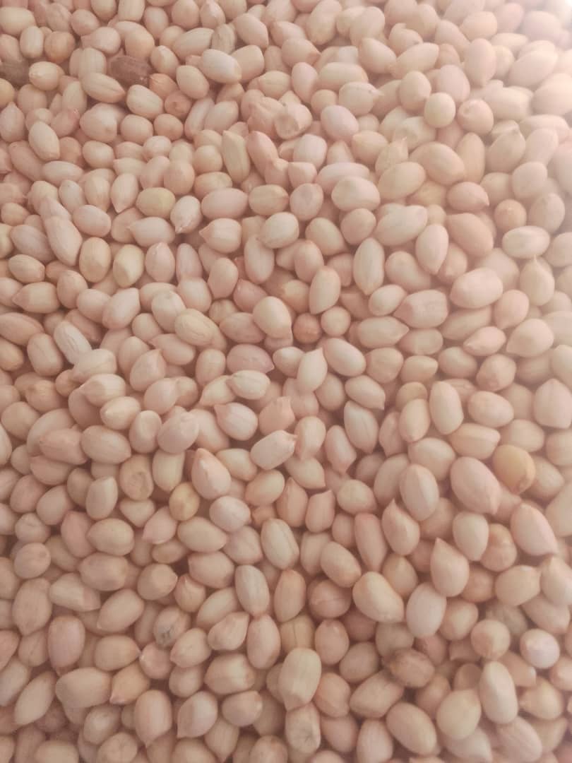 GroundNuts
