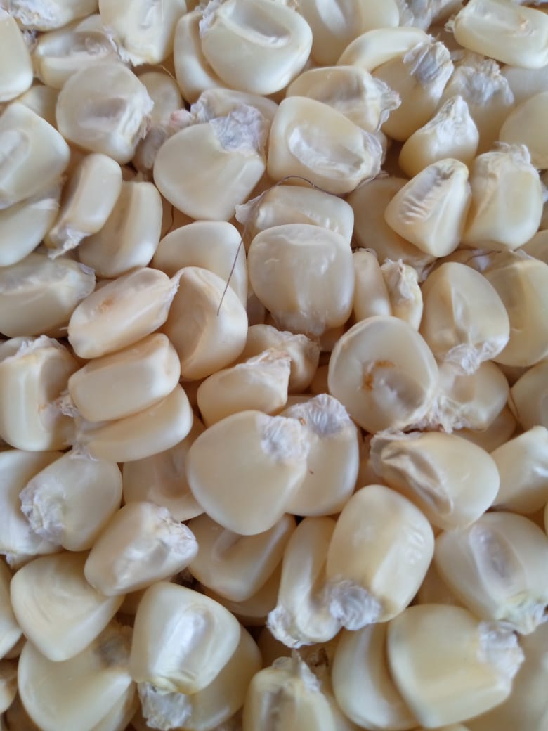 White Maize