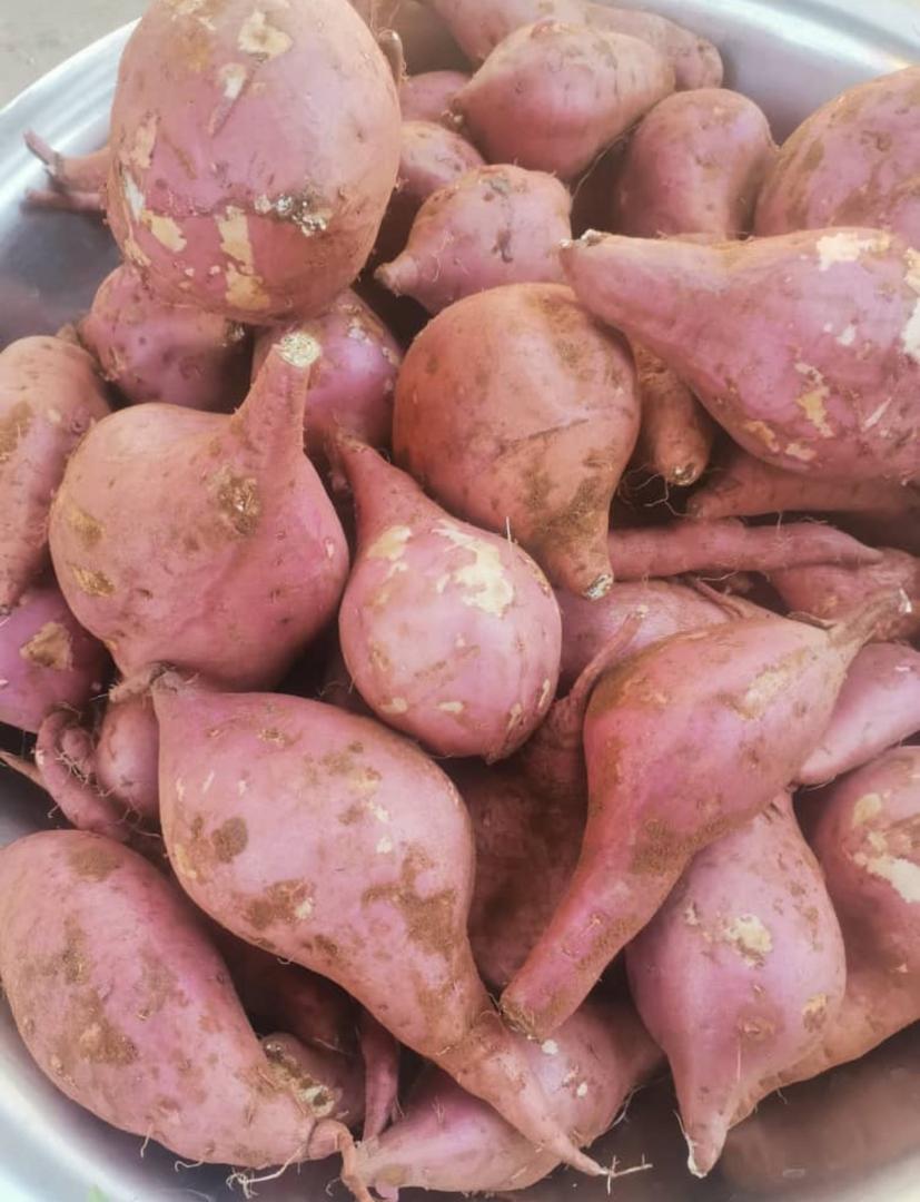 Sweet Potatoes P12 per Kg