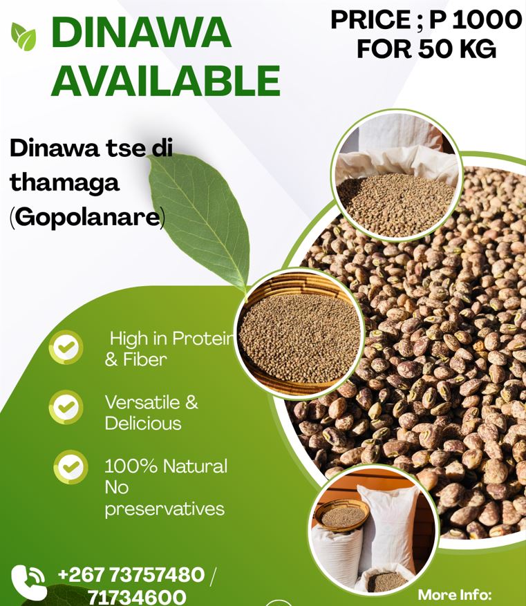 Dinawa tsa Setswana