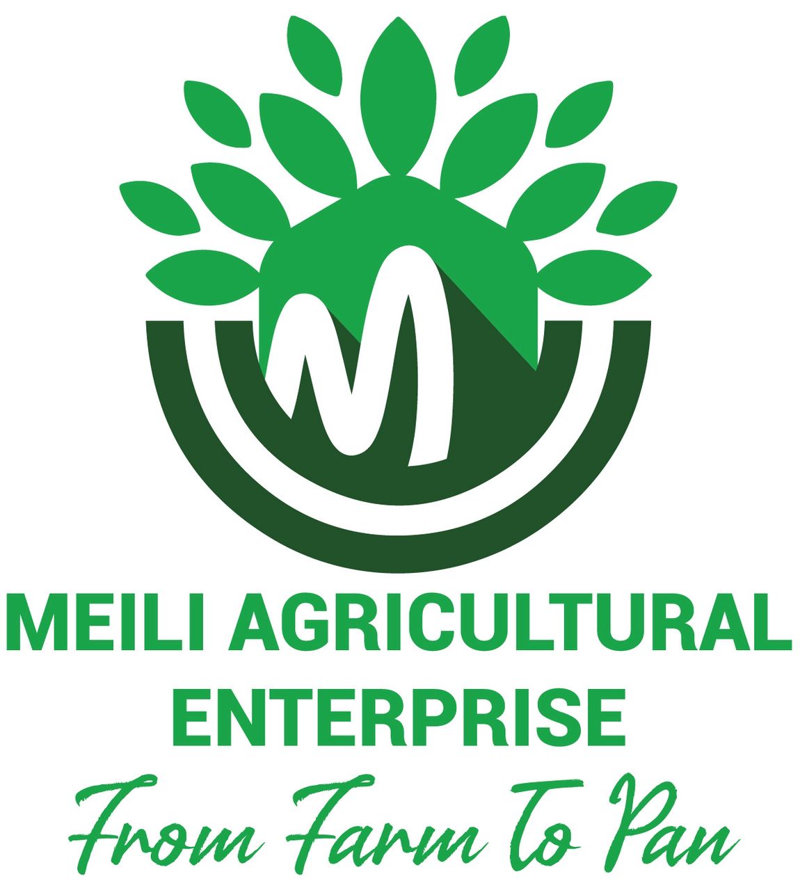 MEILI AGRICULTURAL ENTERPRISE PTY LTD