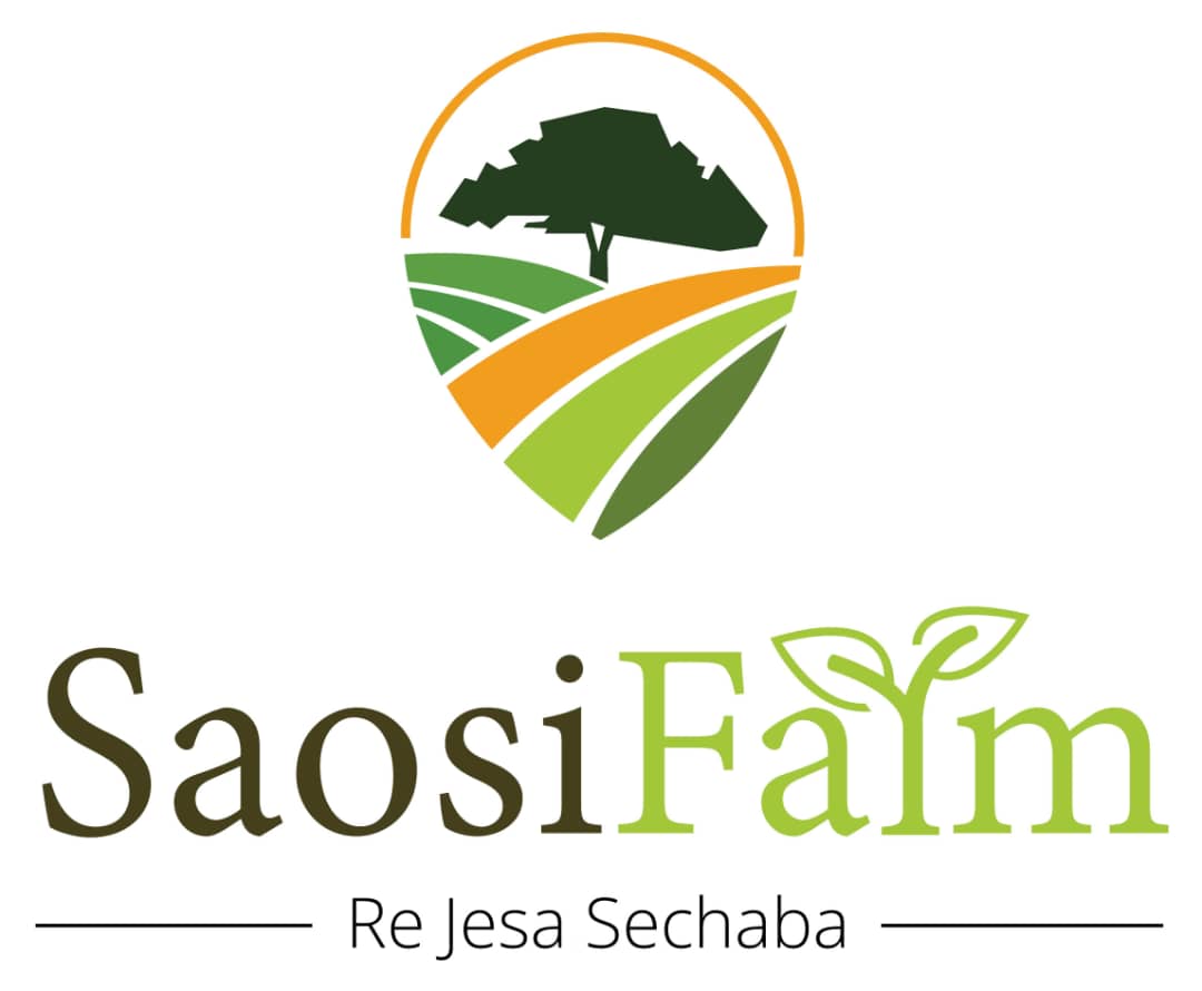 Saosi Farm