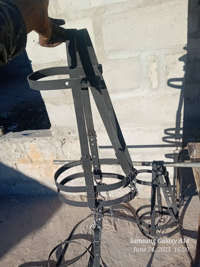 Riding Reins|Ditomo